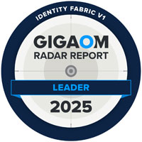 One Identity is positioned as a Leader and Fast Mover in the Maturity/Platform Play quadrant of the Identity Fabric Radar chart